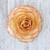 Artisan Crafted Natural Rose Brooch from Thailand 'Rosy Mood'