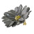 Natural Aster Flower Brooch in Charcoal from Thailand 'Let It Bloom in Charcoal'