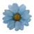 Natural Aster Flower Brooch in Sky Blue from Thailand 'Let It Bloom in Sky Blue'