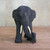 Teak Wood Elephant Statuette from Thailand 'Heading Home'