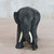 Teak Wood Elephant Statuette from Thailand 'Heading Home'