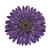 Handmade Natural Blue-Violet Gerbera Brooch from Thailand 'Splendid Petals in Violet'