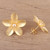 Cultured Pearl 22k Gold Plated Sterling Silver Earrings 'Blooming Plumeria'