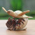 Hand-Carved Ocean Turtle Jempinis Wood Tree Sculpture 'Turtle Current'