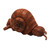 Snail-Themed Surrealist Suar Wood Sculpture from Indonesia 'Slumbering Snail'