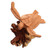 Jempinis and Benalu Wood Sea Turtle Figurine from Bali 'Swimming Turtle'