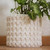 White Skull Pattern Ceramic Flower Pot from Mexico 'Rows of White Skulls'