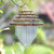 Artisan Crafted Bamboo and Aluminum Wind Chime 'Five Steps'