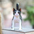 Balinese Signed Hand-Carved Tuxedo Cat Sculpture 'Curious Tuxedo Cat'