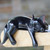 Balinese Signed Hand-Carved Sleeping Black Cat Sculpture 'Black Catnap'