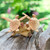 Original Jempinis and Benalu Wood Turtle Sculpture 'Sea Turtle Companions'