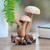 Hand Carved Wood Mushroom Sculpture from Bali 'Growing Mushrooms'