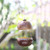 Handcrafted Coconut Shell Bird Feeder 'Kintamani House'