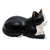 Hand Carved Suar Wood Cat Statuette 'Reclining Cat'