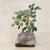 Green Quartz-Amethyst Brazilian Mini Gemstone Tree Sculpture 'Hope and Happiness'
