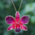 Gold-Plated Orchid Petal Pendant Necklace and Brooch 'Orchid Magic in Red'