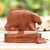 Hand Carved Suar Wood Bear Puzzle Box 'Hungry Bear'