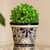 Hand Painted Cobalt Flower Pot 4.7 Inch Diameter 'Cobalt Garden'