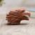 Suar Wood Eagle-Motif Puzzle Box 'Eagle Feathers'