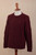 Dark Red Men's 100 Alpaca  Sweater 'Field and Forest'