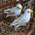 White Wood Dove Ornaments Set of 5 'Hope Doves'