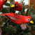 Wood Cardinal Ornaments Set of 5 'Northern Cardinals'