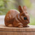 Hand Carved Suar Wood Bunny Statuette 'Chubby Bunny'