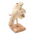 Jempinis Wood Hippo-Themed Statuette 'Little Hippo'