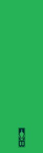 Neon Green NG Neon Green NG