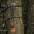 Bruin Quiver