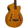 ARIA Stained Brown Elec-Acous Fretless Bass w/ Bag