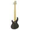 ARIA PRO II Metallic Black 5 String Electric Bass Guitar