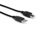 Hosa High Speed USB Cable Type A to Type B 10 ft