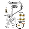 Wiring Kit for Epiphone