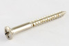 Tremolo Claw Screws