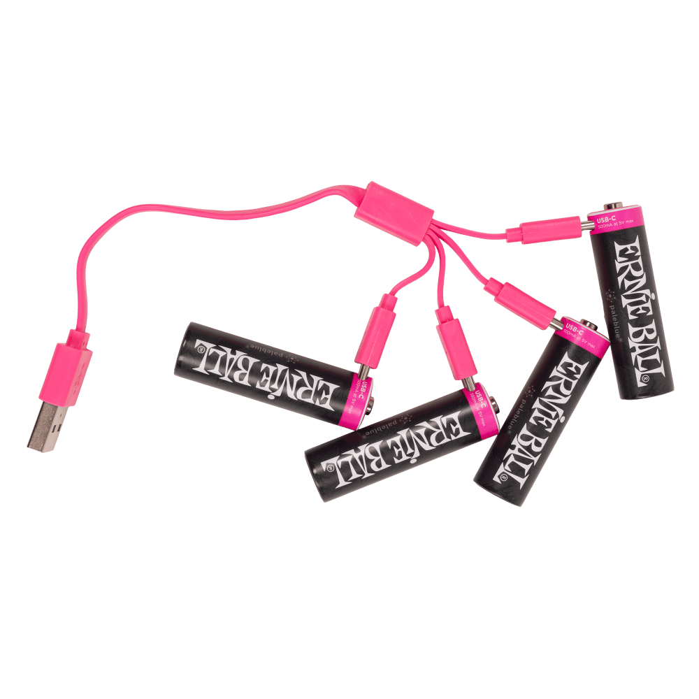 Ernie Ball USB-C Rechargeable AA Battery by Paleblue - 4-pack