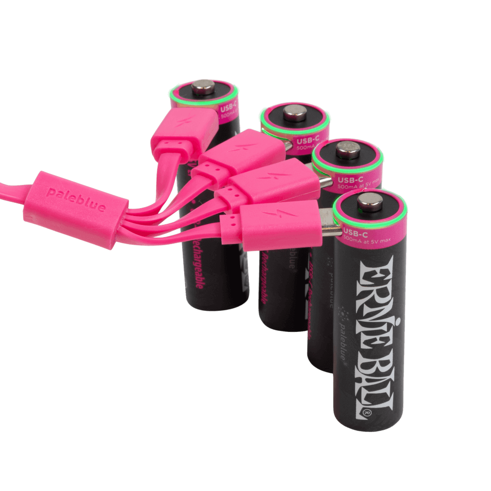 Ernie Ball USB-C Rechargeable AA Battery by Paleblue - 4-pack