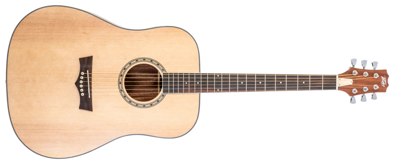 Peavey Delta Woods DW-2 Solid Top Dreadnought Acoustic Guitar