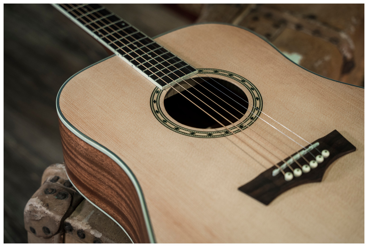 Peavey Delta Woods DW-2 Solid Top Dreadnought Acoustic Guitar