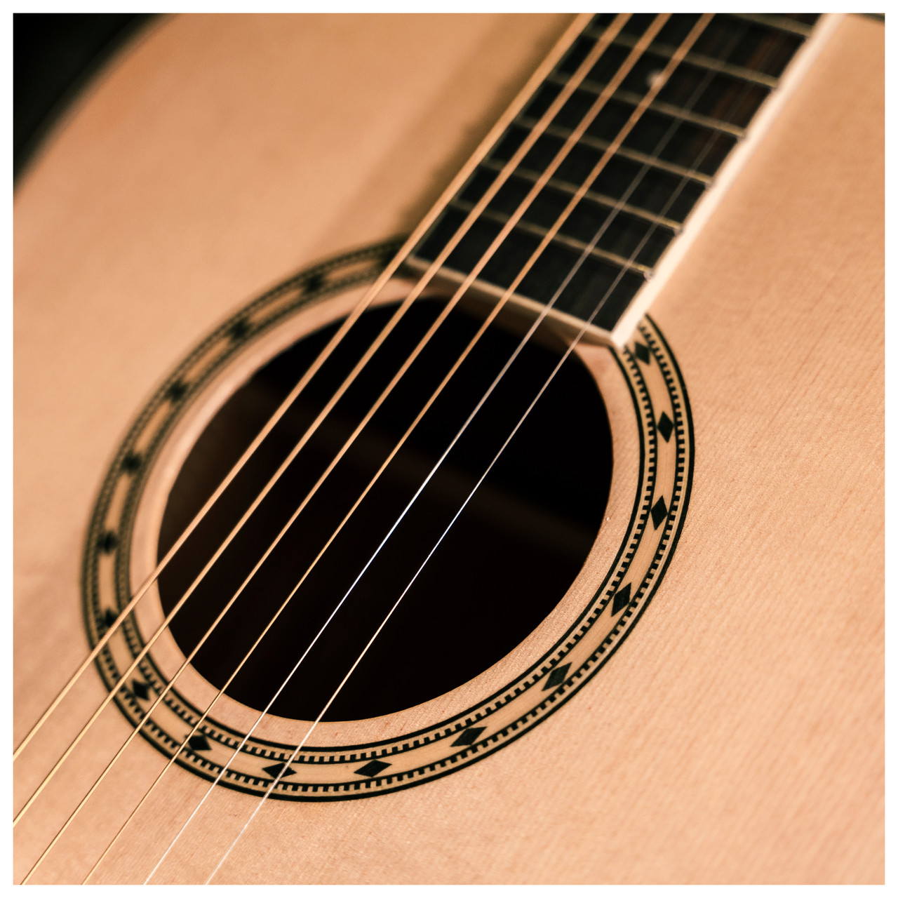 Peavey Delta Woods DW-2 Solid Top Dreadnought Acoustic Guitar