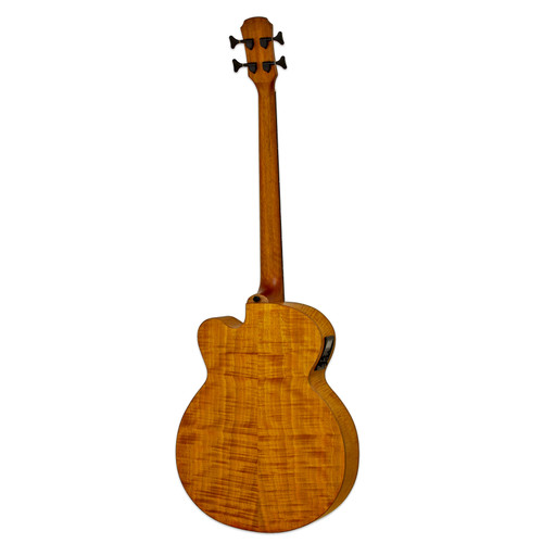 ARIA Stained Brown Elec-Acous Fretless Bass w/ Bag