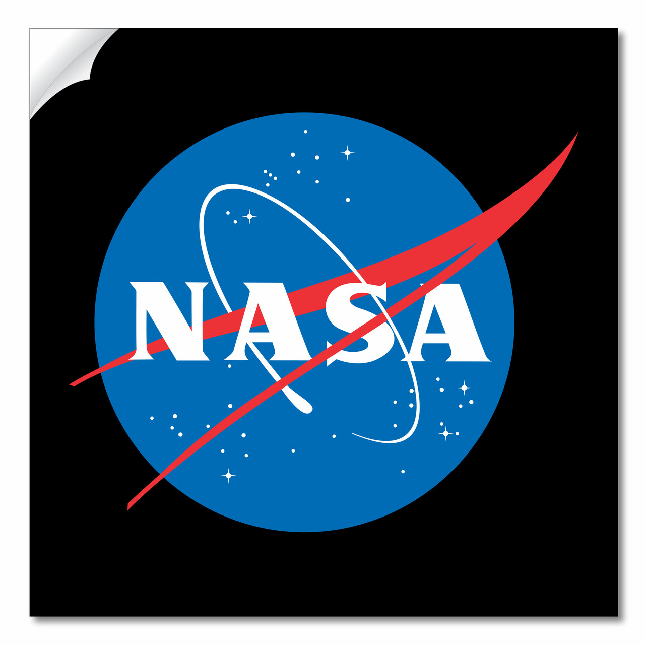 nasa logo rectangle