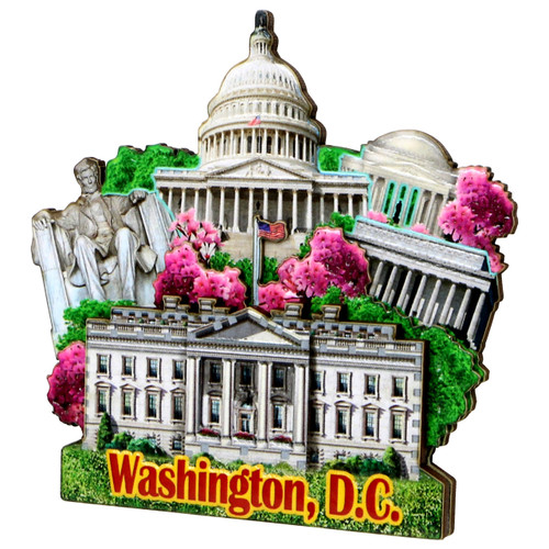 3D Washington DC Magnet