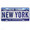 souvenir novelty new York state license plate embossed, legal size