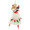 Clara and Nutcracker Christmas Tree Ornament