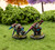 Clash of Rhyfles: Toulmore Pathfinders