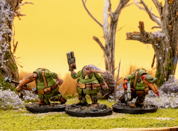 Clash of Rhyfles: Crusader Trench Raiders