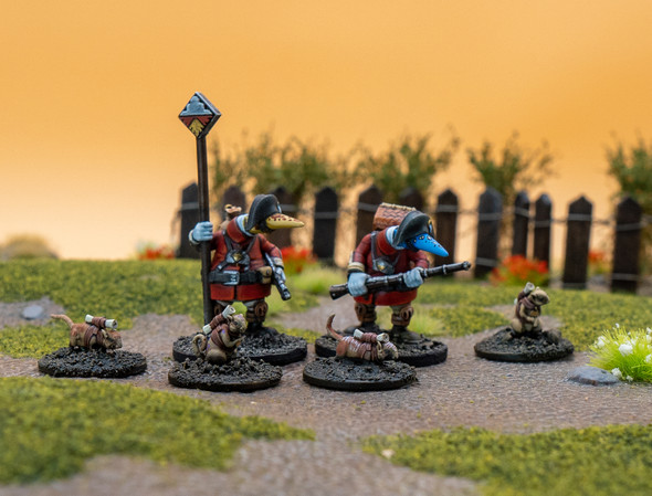 Clash of Rhyfles: Gwynt Command Specialists