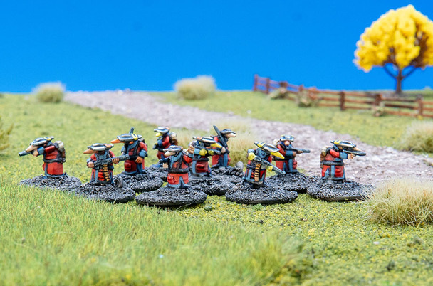 Fidwog Rhyfler Squad (15mm)