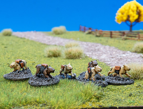 Fidwog Fydos (15mm)
